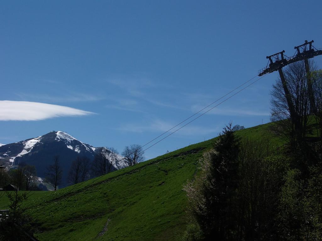 Haus Bergheim Saalbach-Hinterglemm Exterior foto