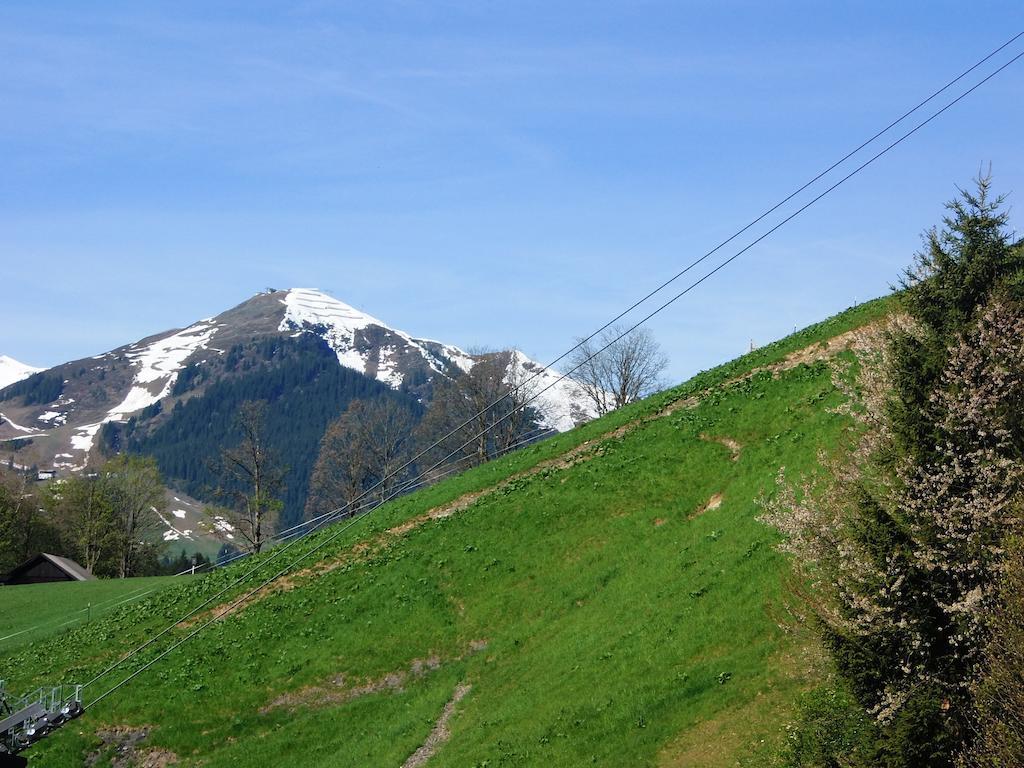 Haus Bergheim Saalbach-Hinterglemm Exterior foto